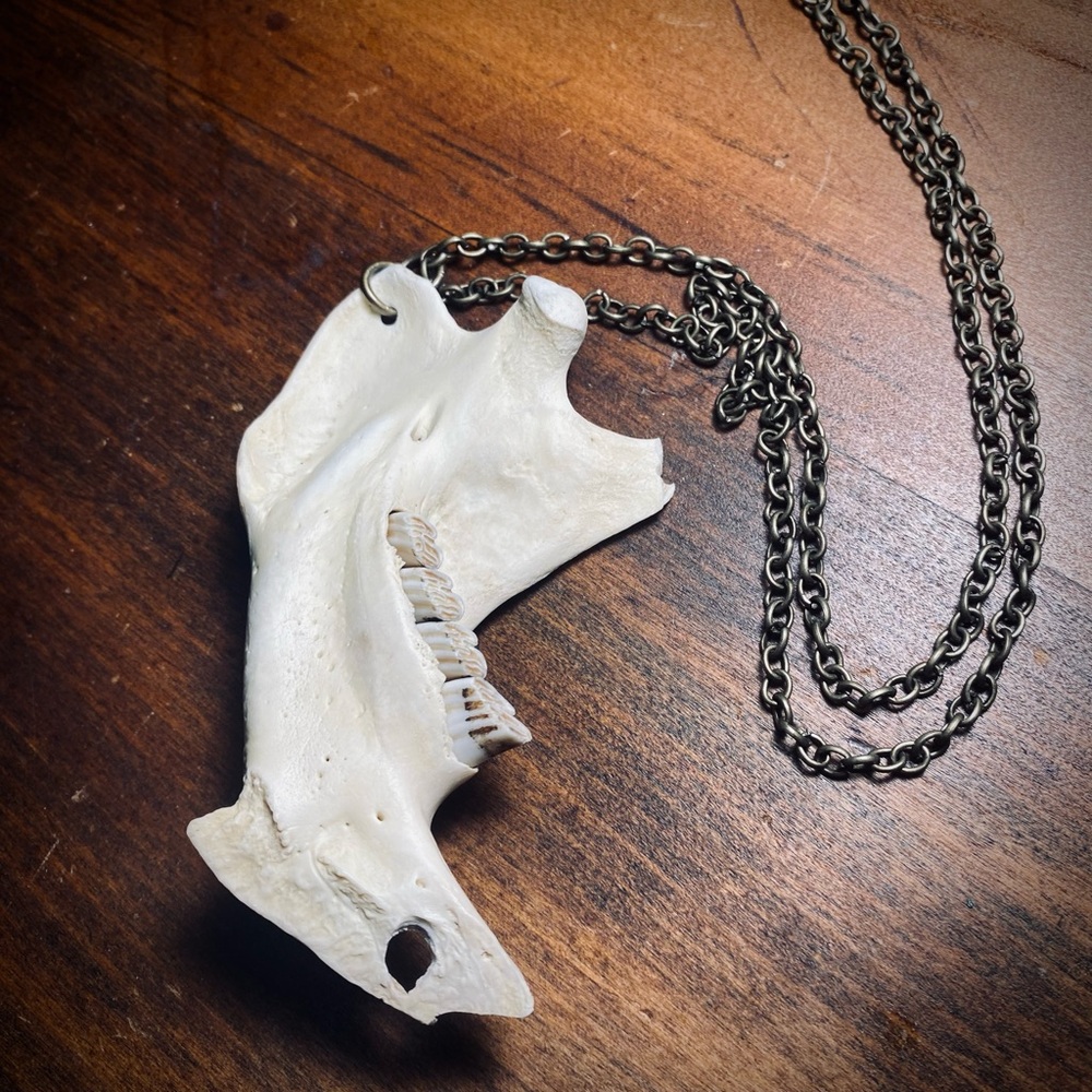 Beaver Jawbone Oxidized Brass Chain Necklace